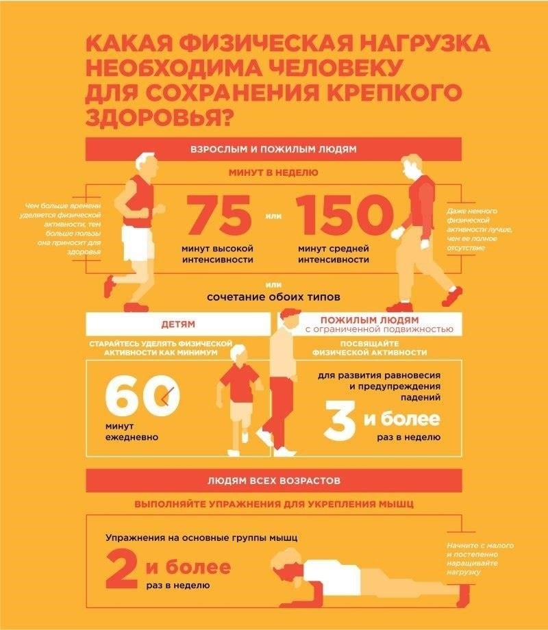 Физические нагрузки: интенсивность тренировок возрастает с каждым днем, упражнения направлены на преодоление физических и психических ограничений. Упражнения на развитие физических качеств являются регулярной частью расписания.