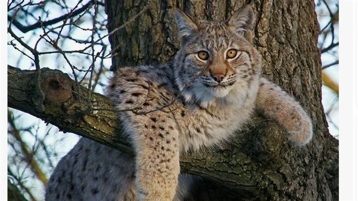 Когда находят укромное место, а приходят на