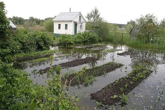 Высокий уровень грунтовых вод