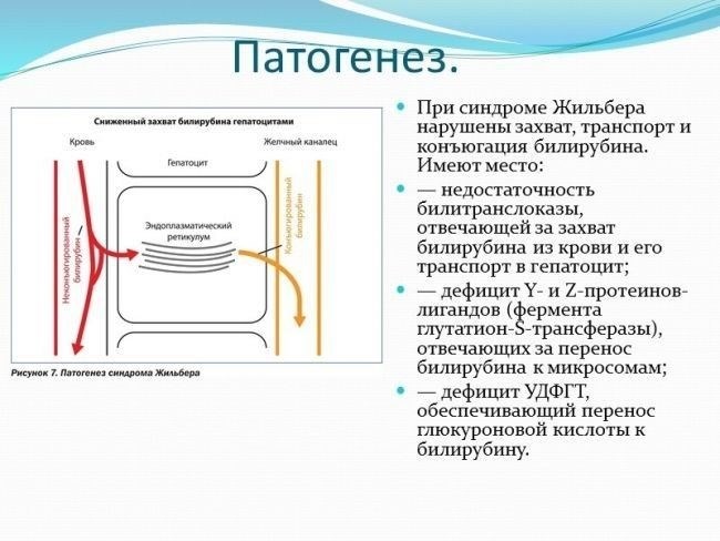 Как подтвердить наличие заболевания?