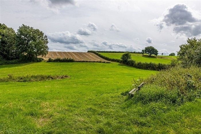 Определение и сущность сервитута