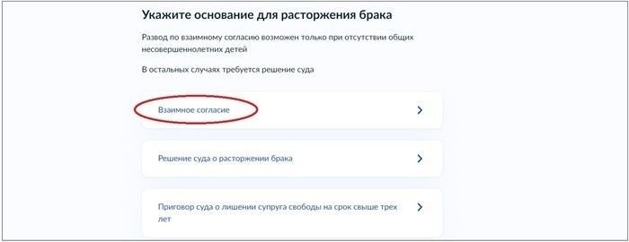 Пошаговая инструкция для подачи заявления о расторжении брака через интернет