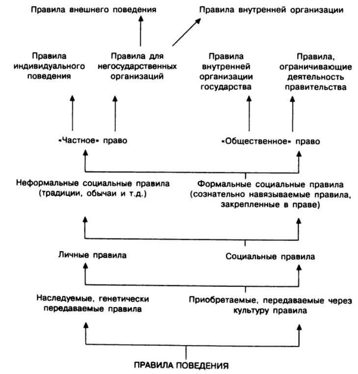 Исполнение законов: Государство обязано обеспечивать соблюдение правовых норм, что требует структурированного осуществления власти.