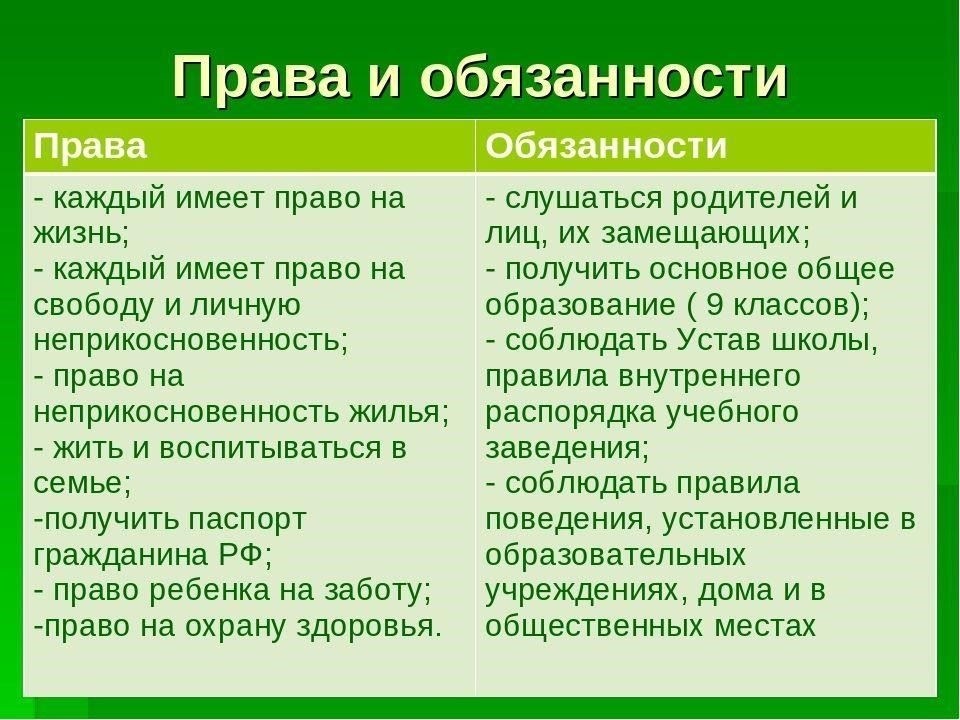 Юридические обязанности и права