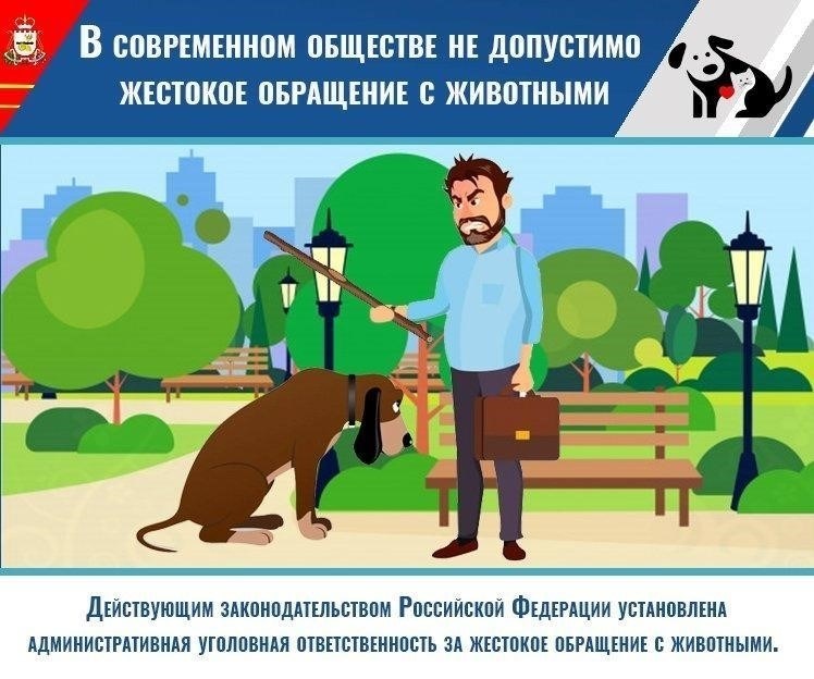 Как доказать жестокое обращение с животными: Ключевые доказательства и экспертиза