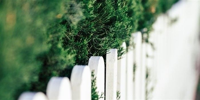 Штрафы и санкции для нарушителей границ участков