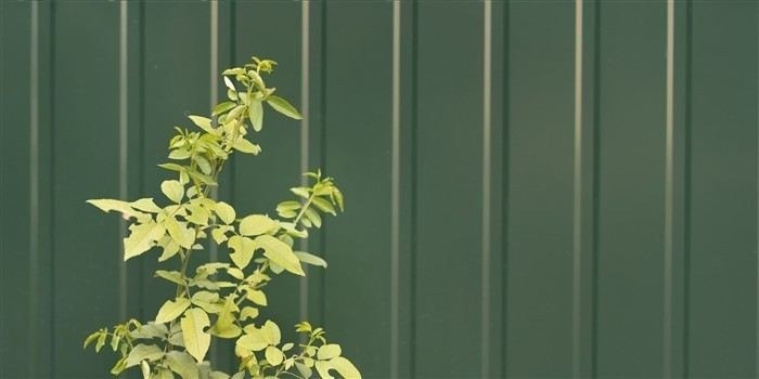 Как составить заявление в суд на захват территории