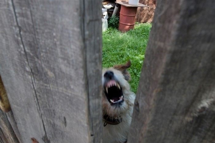 При каких обстоятельствах и кем подается возражение на исковое заявление об установлении сервитута