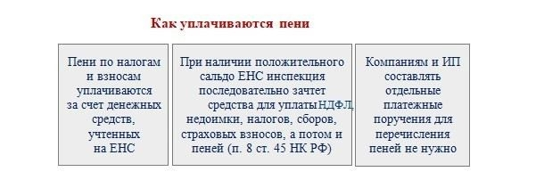 Какой штраф и пени начисляются за просроченный платеж в 2025 году?