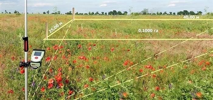 Шаги по запросу отчета о межевании у местных властей