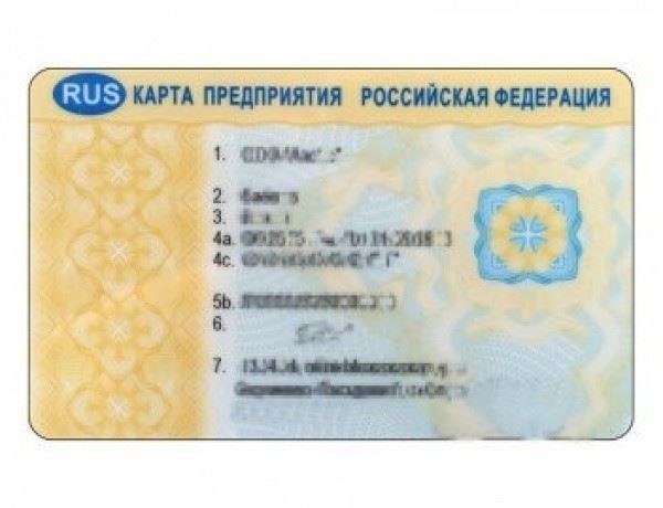 Образец договора подряда с поэтапным завершением и условиями оплаты