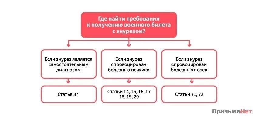 Классификация энуреза и его влияние на призыв