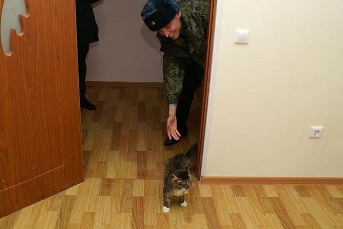 Когда военнослужащим требуется юридическая помощь в жилищных спорах?