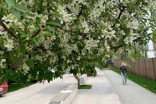 С началом учебного года изменилось время