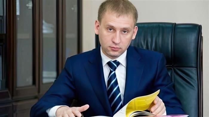 Карьера и политика