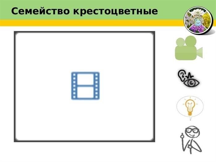 Роль крестоцветных растений в нашем рационе