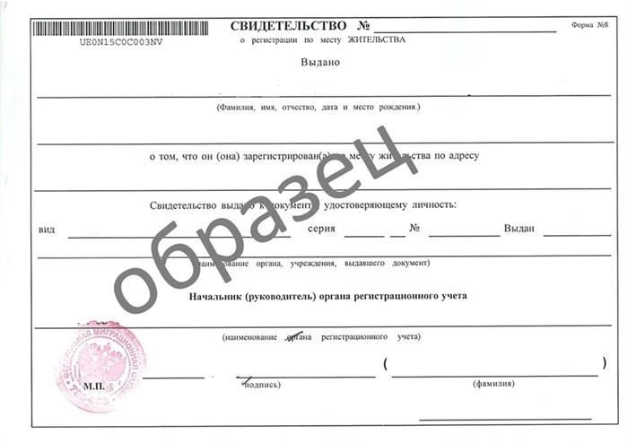 Документы для новорожденного: как их собирать и где они нужны