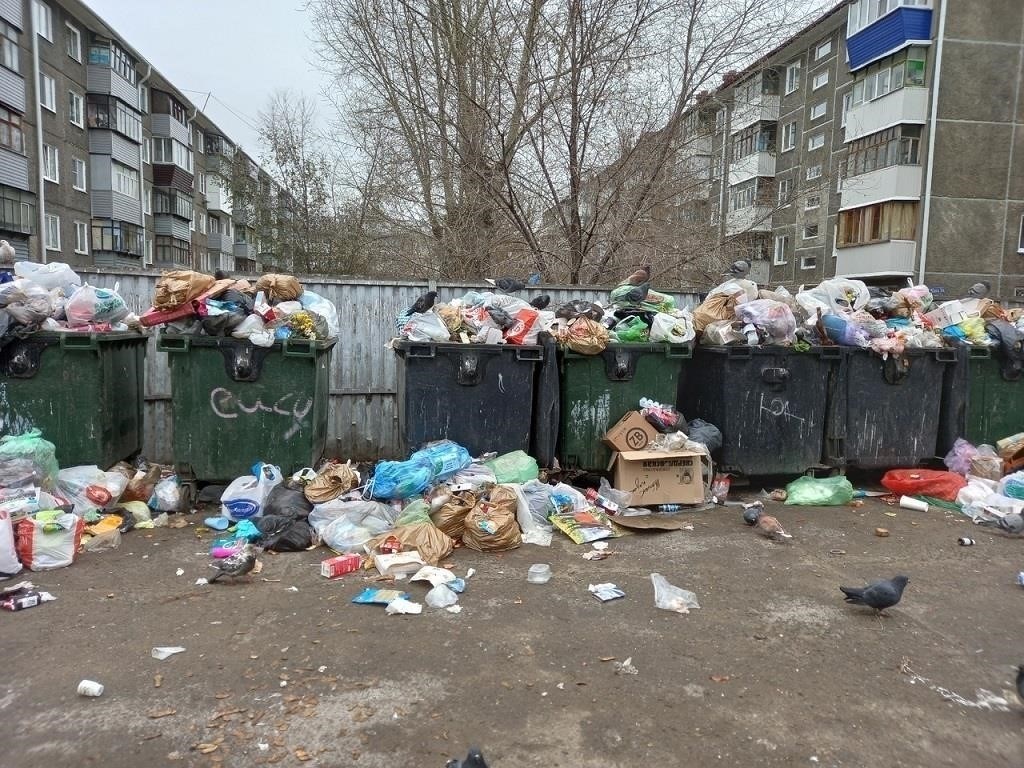 Куда сообщить о несобранном мусоре
