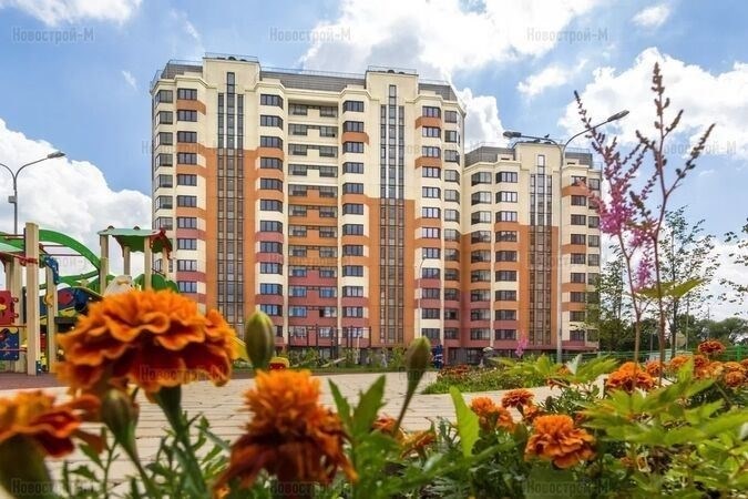 Что и за сколько вы можете купить?