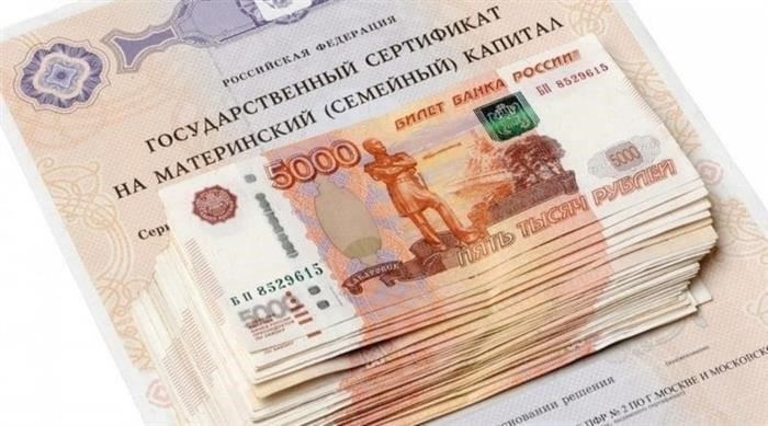Куда можно инвестировать средства материнского капитала?