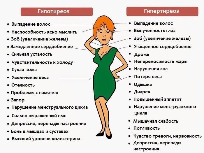 Например, у людей с нарушениями функций щитовидной железы часто наблюдается набор или потеря веса из-за изменения скорости метаболизма. Нарушения в работе щитовидной железы могут привести к вялому уровню энергии, усталости и снижению способности сжигать калории. Аналогичным образом, резистентность к инсулину, обычно наблюдаемая при ожирении, может вызвать трудности с регулированием уровня сахара в крови, что приводит к набору веса и снижению энергии.