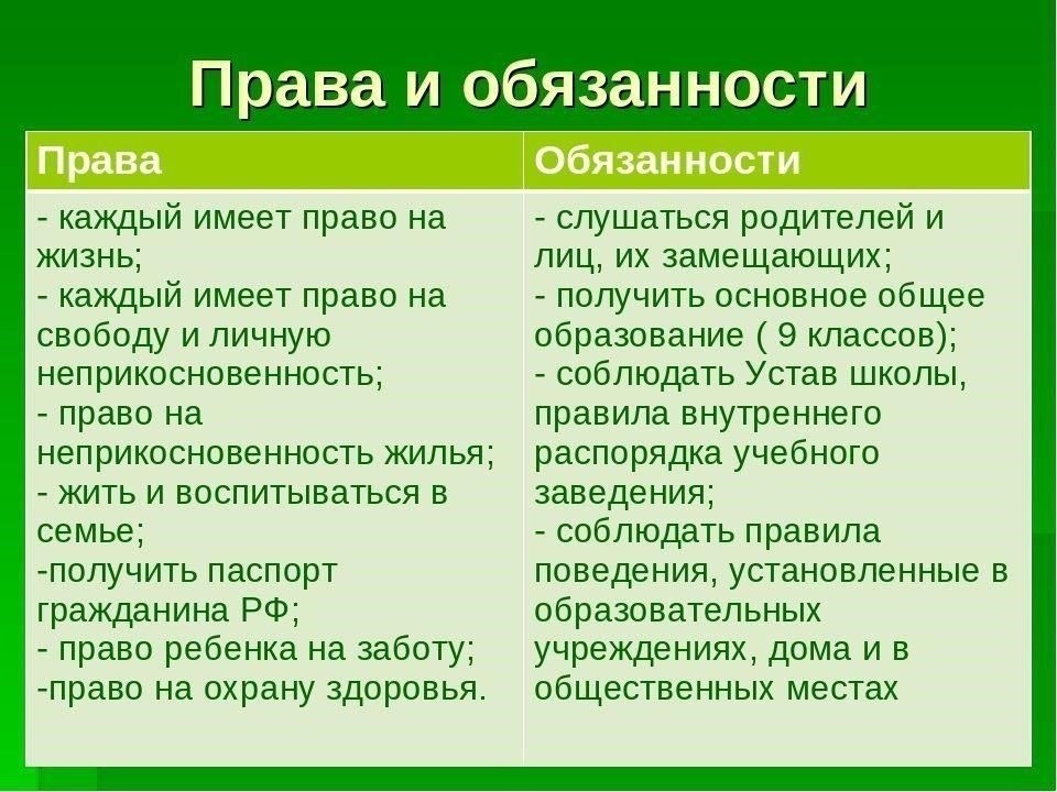 Обязанности и права