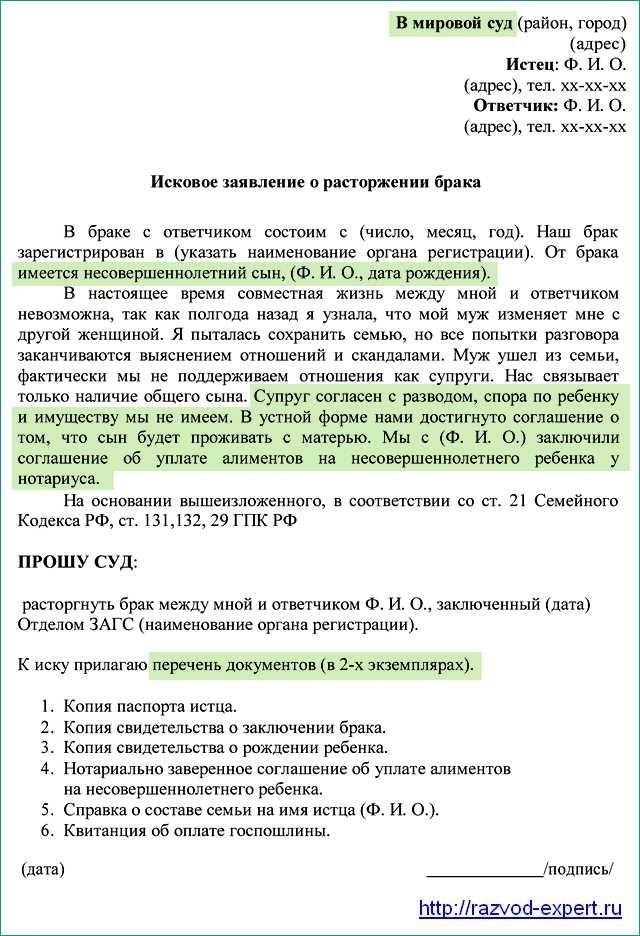 Образец заявления на развод для родителей с несовершеннолетними детьми