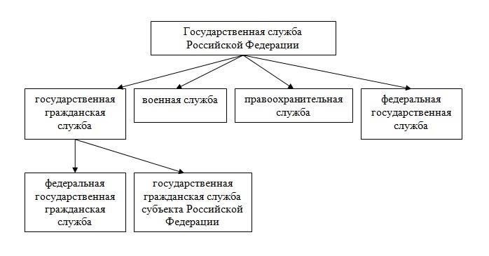 Опыт работы в государственных службах
