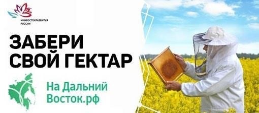 Освобождение от уплаты алиментов: Как законно избежать уплаты алиментов?
