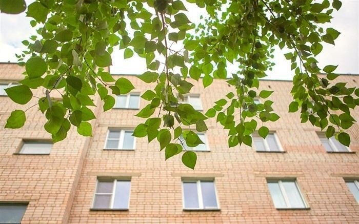 Какие требования теперь предъявляются к управляющим компаниям в России