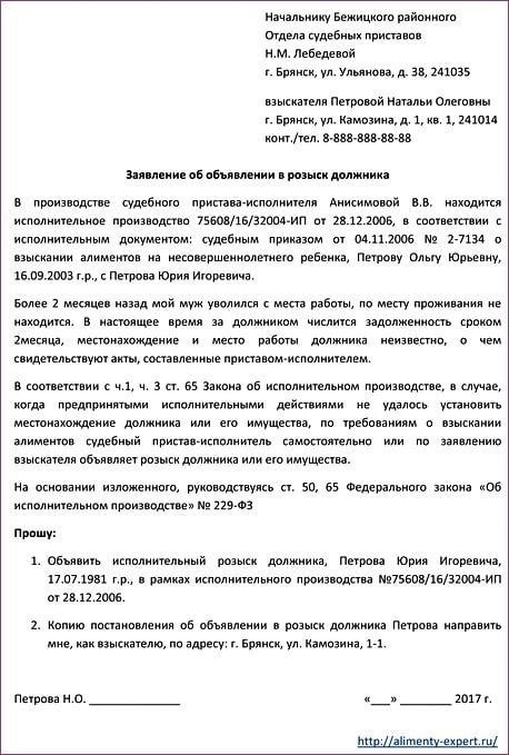 Пошаговое руководство по подаче ходатайства о принудительном исполнении решения