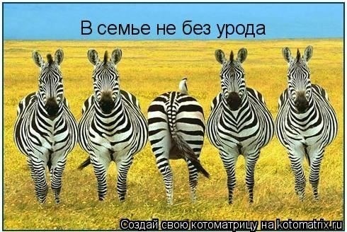 Роль притч в семейной жизни и воспитании детей