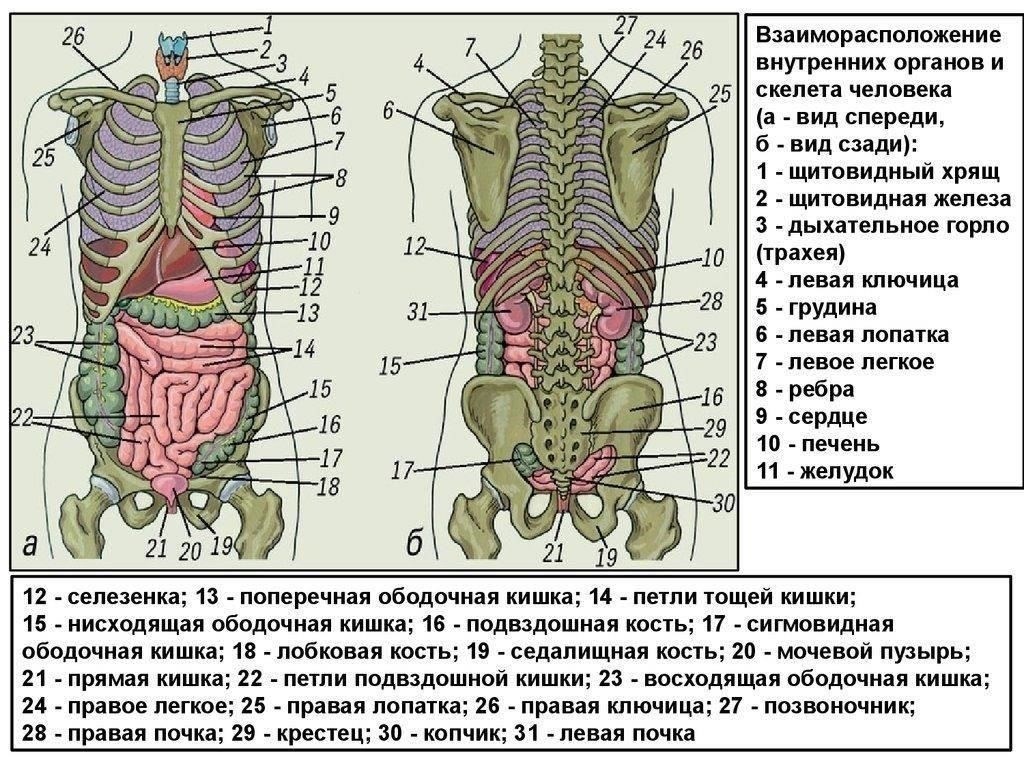 Правовые последствия удаления номера статьи «Расписание болезней» из военного билетаЕсли из военного билета будет удалена ссылка на психиатрический диагноз или расписание болезней, это может повлечь за собой осложнения с признанием медицинских показаний для получения определенных привилегий и услуг. В 2022 году изменения в российском законодательстве привели к неоднозначной трактовке действительности психиатрического диагноза в военном документе. В частности, без этого диагноза может стать сложно доказать право на определенные льготы, такие как освобождение от службы или медицинские услуги, связанные с военными.