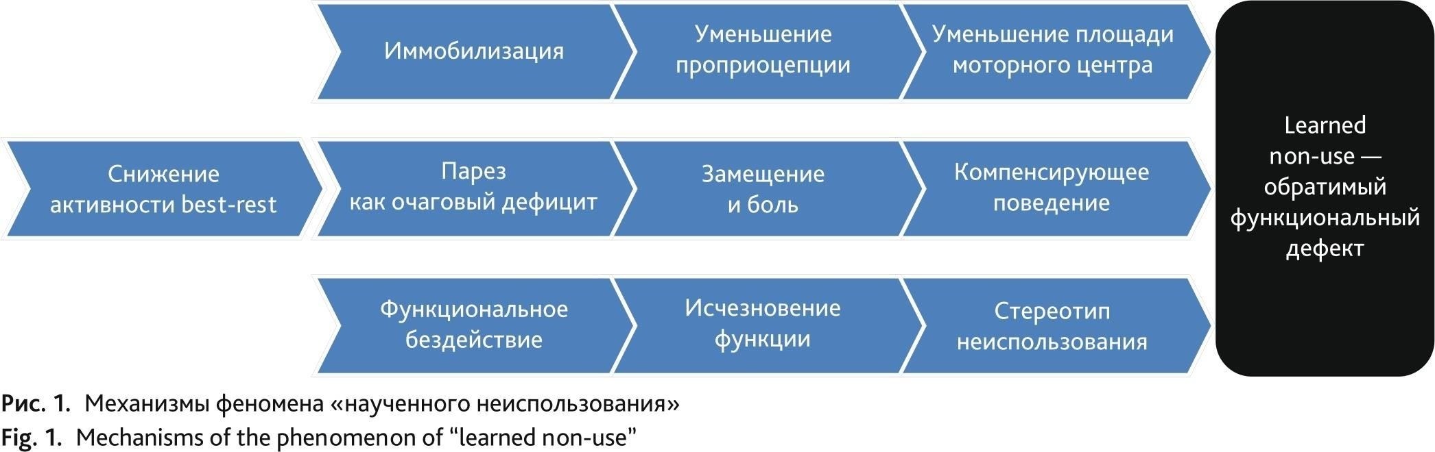 Предоставьте доказательства текущего лечения или планов реабилитации, если заболевание поддается лечению.