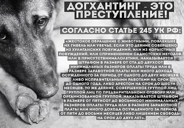 Проблемы в уголовном судопроизводстве: Защита «преступление не совершено» в делах о жестоком обращении с животными