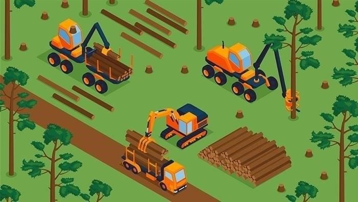 Разрешение на строительство на землях лесного фонда: Порядок и требования