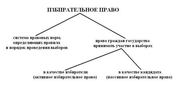 Различия между выборами и референдумами
