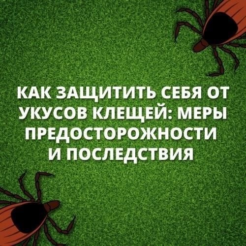 Саундтрек службы: Выживание в военной жизни с насекомыми в голове