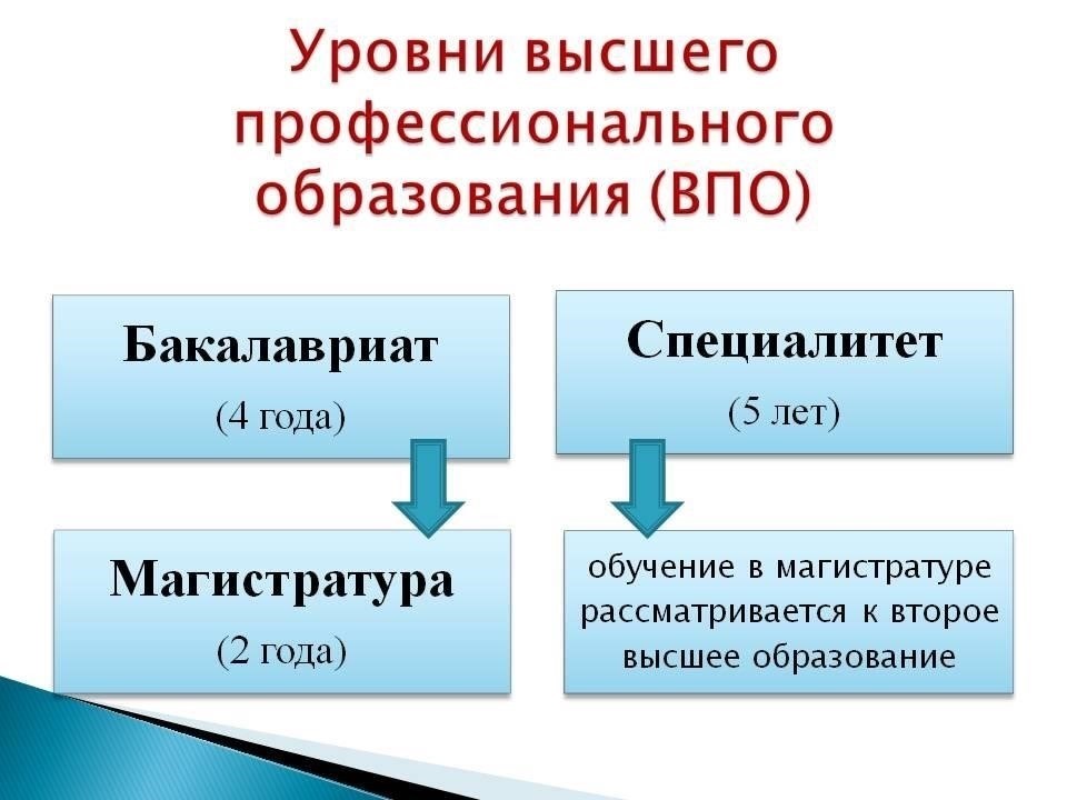 Считается ли университетское обучение в сфере образования профессиональным опытом?