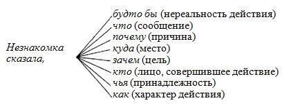 Семантические различия между терминами «Неевоэжнобазанная» и «Невоеннобазанная»