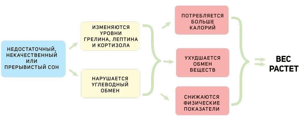 Сосредоточившись на дыхании, стресс, который обычно не дает спать, рассеивается. Многие солдаты после напряженной смены обнаруживают, что вместо того, чтобы бороться со сном, их тело расслабляется, позволяя им глубоко отдохнуть. Релаксационное дыхание учит солдат делать паузу и восстанавливать силы перед сном, независимо от того, насколько они измотаны многочасовым дежурством. Это бесценный навык, который не ограничивается полем боя, помогая очистить разум и обеспечить спокойный ночной сон.