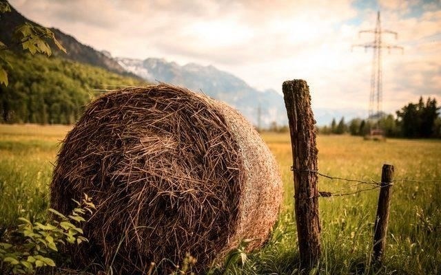 Статья 9. Аренда земельных участков для сельскохозяйственных целей