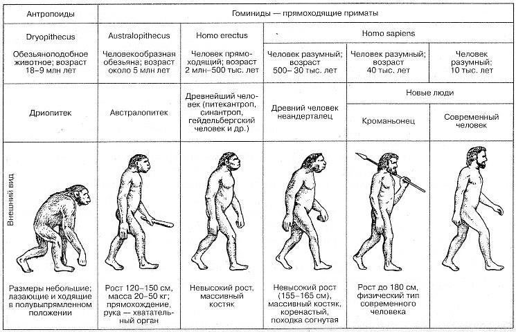 Становление и эволюция