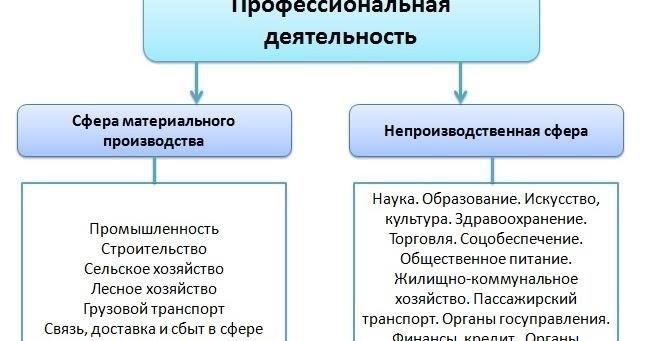 В сферу их деятельности входят следующие основные обязанности: