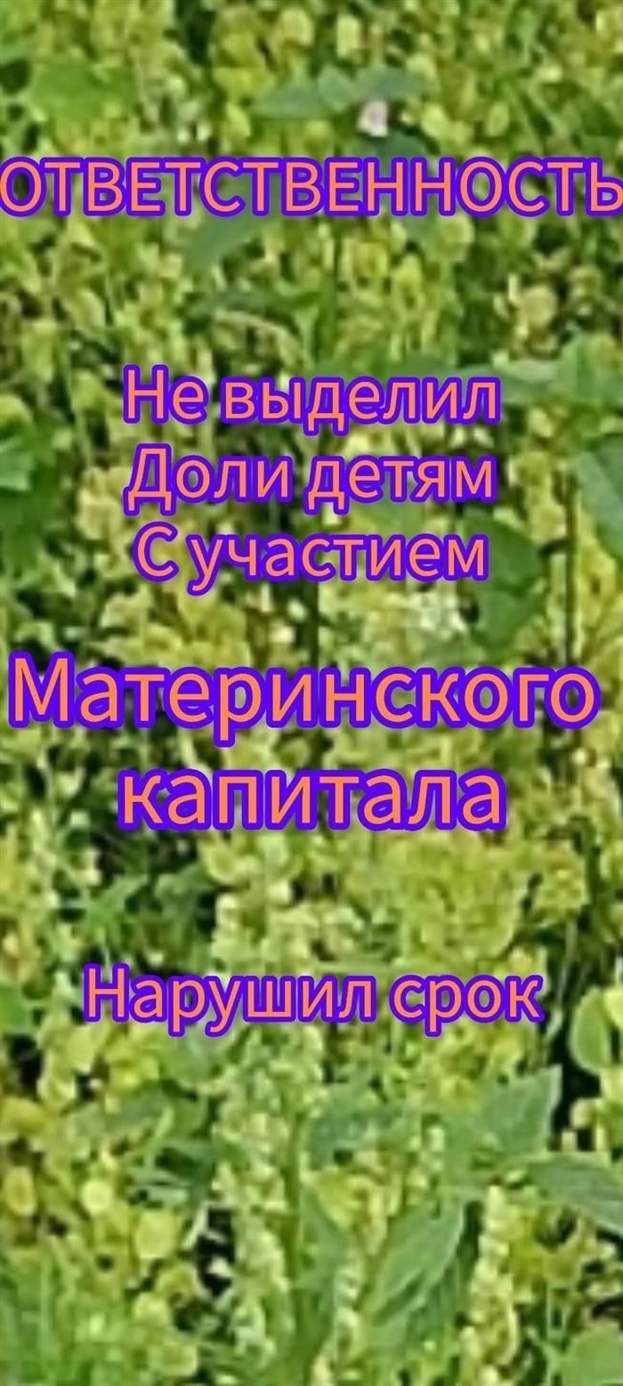 Правовые альтернативы для получения детьми выгоды от материнского капитала