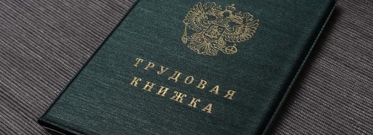 Виды трудовых книжек из Украины, признаваемых правительством