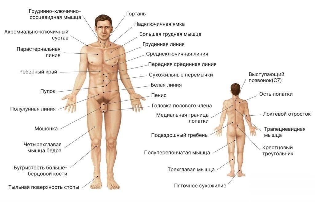 Виды заболеваний, которые могут повлиять на призыв